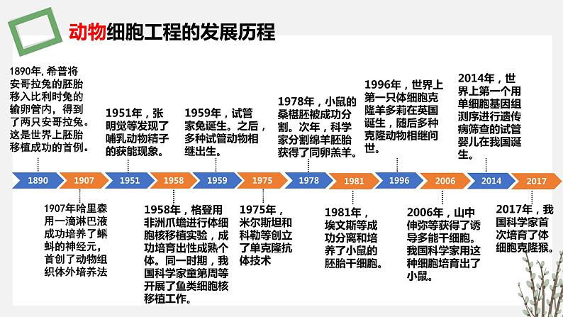 2.3.2 动物细胞培养技术及其应用 课件 高中生物新苏教版选择性必修302