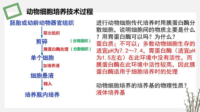 2.3.2 动物细胞培养技术及其应用 课件 高中生物新苏教版选择性必修308