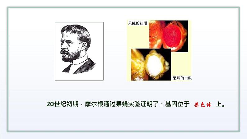 2.1 DNA是主要的遗传物质 课件 高中生物新苏教版必修2第4页