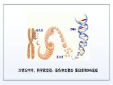 2.1 DNA是主要的遗传物质 课件 高中生物新苏教版必修2