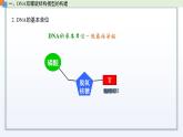 2.2 DNA分子的结构和复制（第1课时）课件 高中生物新苏教版必修2