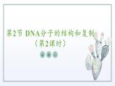 2.2 DNA分子的结构和复制（第2课时）课件 高中生物新苏教版必修2