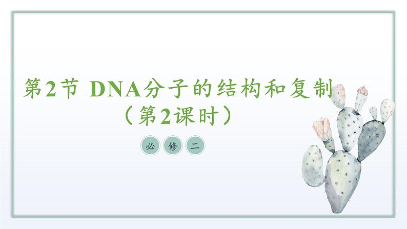 2.2 DNA分子的结构和复制（第2课时）课件 高中生物新苏教版必修201