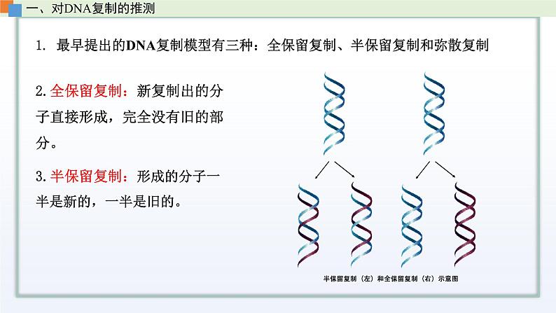 2.2 DNA分子的结构和复制（第2课时）课件 高中生物新苏教版必修203