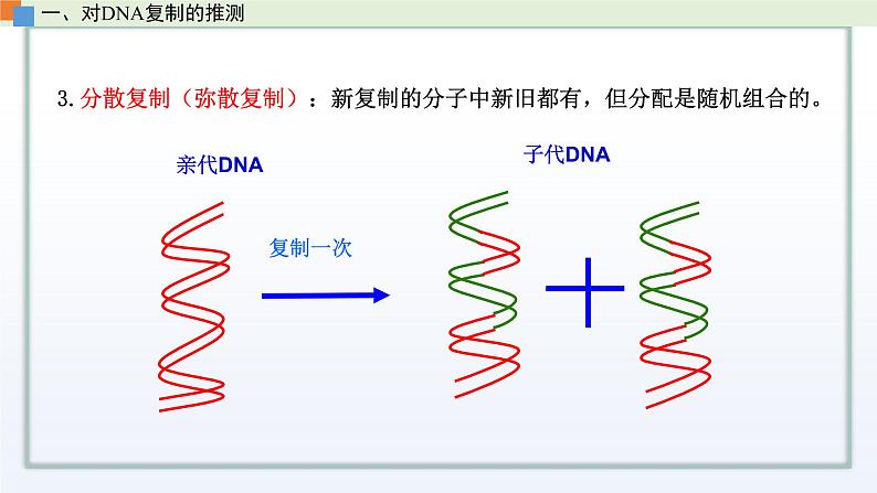 2.2 DNA分子的结构和复制（第2课时）课件 高中生物新苏教版必修204