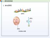 2.3 遗传信息控制生物的性状（第2课时）课件 高中生物新苏教版必修2