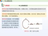 2.3 遗传信息控制生物的性状（第3课时）课件 高中生物新苏教版必修2