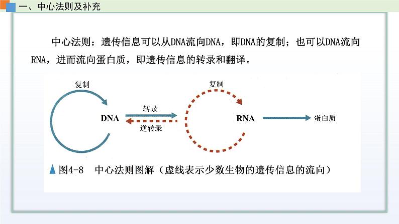 2.3 遗传信息控制生物的性状（第3课时）课件 高中生物新苏教版必修205