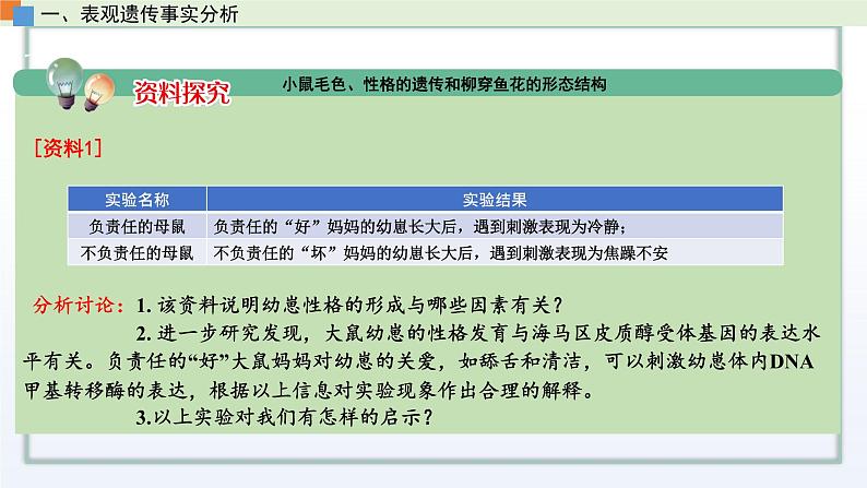 2.3 遗传信息控制生物的性状（第4课时）课件 高中生物新苏教版必修2第5页