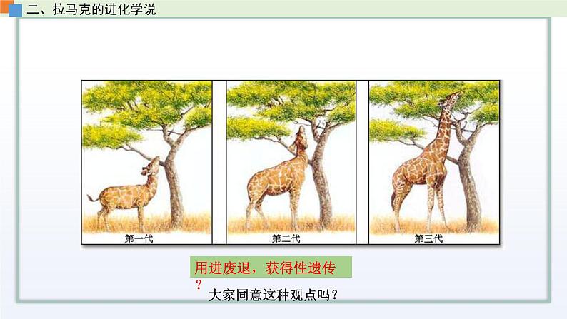 4.1 生物进化理论（第1课时）课件 高中生物新苏教版必修208