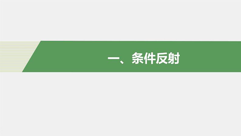 选择性必修1 脑的高级神经活动 （25张） 课件-高中生物新北师大版选择性必修104