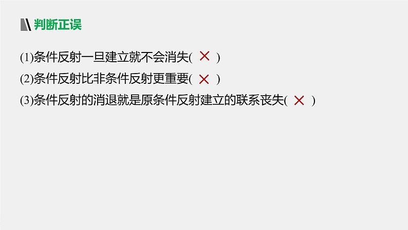 选择性必修1 脑的高级神经活动 （25张） 课件-高中生物新北师大版选择性必修108