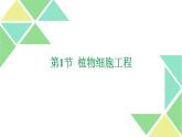 2.1.1  植物细胞工程 课件 高中生物新人教版选择性必修3