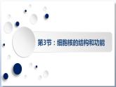 第三章第3节：细胞核的结构和功能 课件