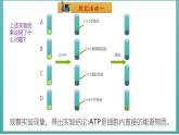 第五章第2节 细胞的能量“货币”ATP 课件