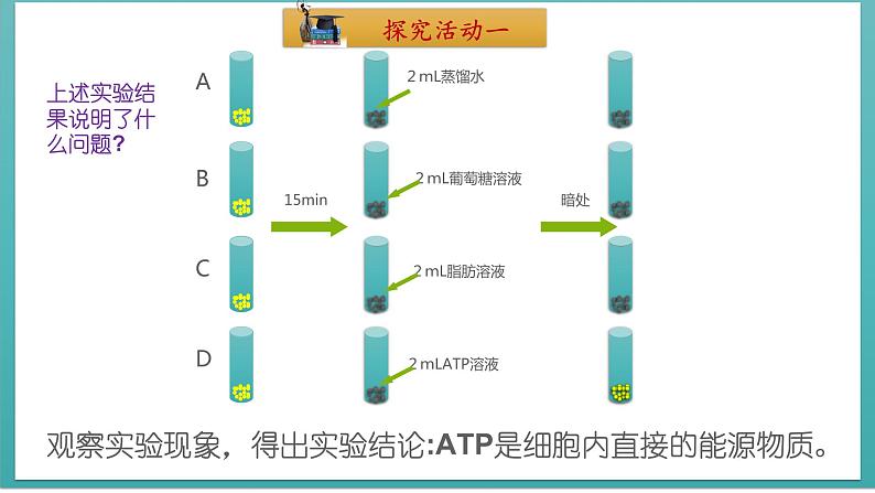第五章第2节 细胞的能量“货币”ATP第4页