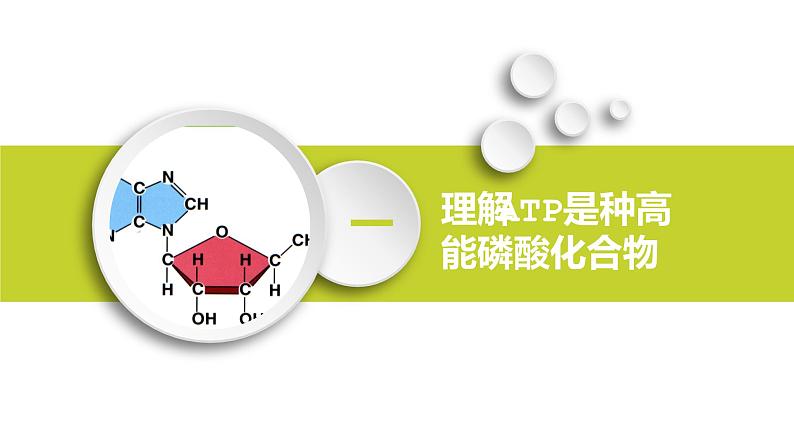 第五章第2节 细胞的能量“货币”ATP第5页