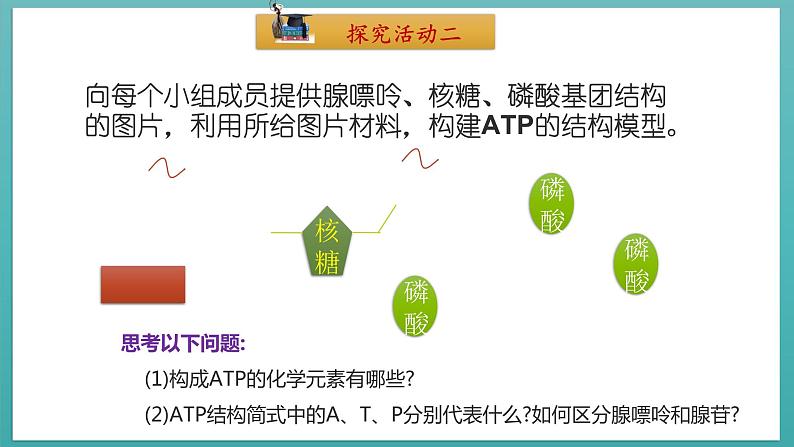 第五章第2节 细胞的能量“货币”ATP第6页