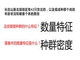 种群的数量特征 课件