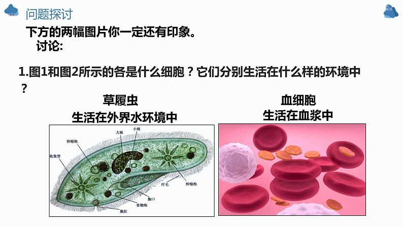 1.1细胞生活的环境第2页