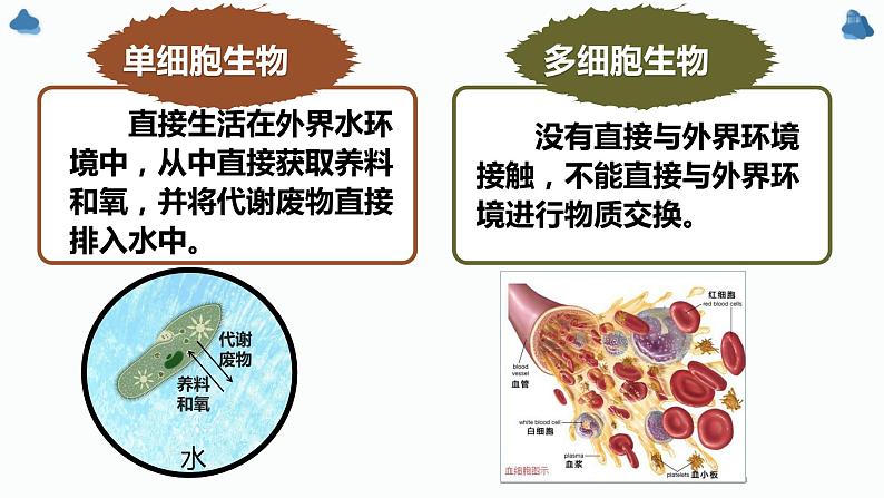 1.1细胞生活的环境第4页