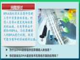第二章：第5讲 核酸是遗传信息的携带者 课件