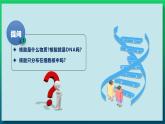 第二章：第5讲 核酸是遗传信息的携带者 课件