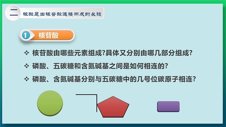 第二章：第5讲 核酸是遗传信息的携带者第6页