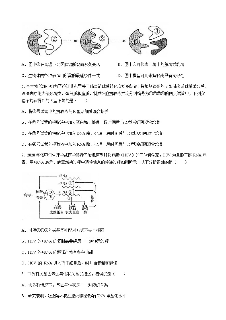 2023届山西省运城市高三上学期入学新生教学质量监测考试生物试题含答案第2页
