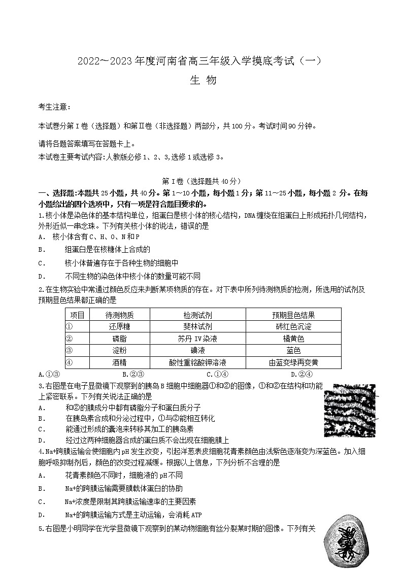 20222023学年河南省高三上学期入学摸底考试（一）生物试卷含答案01