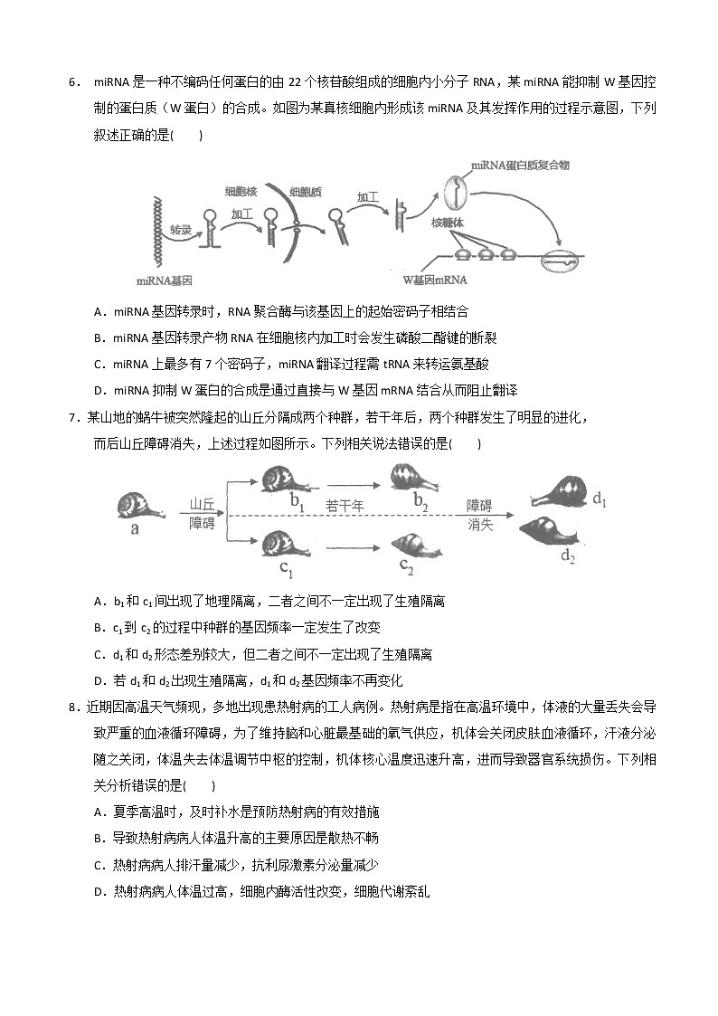 2023届广东省汕头市金山中学高三上学期摸底考试生物含答案02