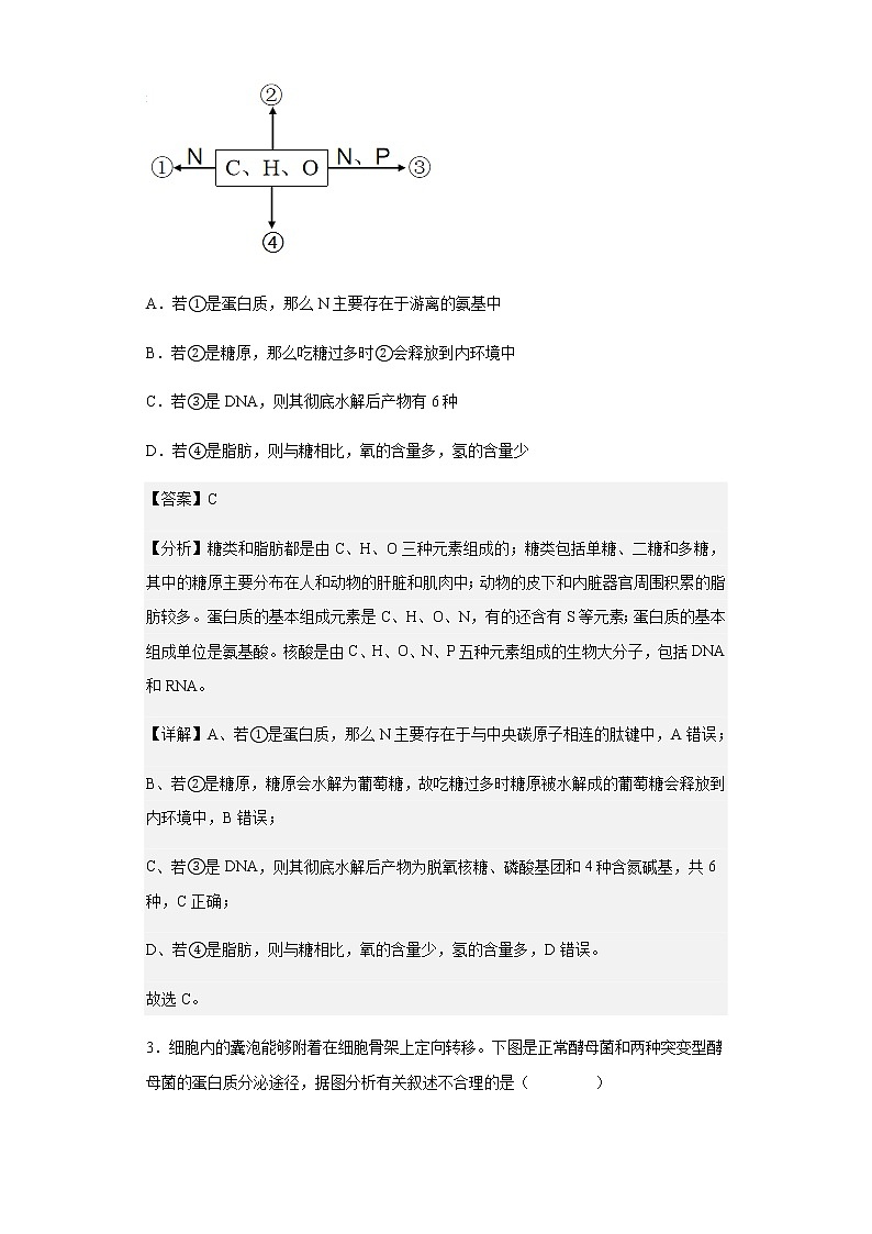 2023届广东省惠州市（惠阳中山中学、龙门中学、惠州仲恺中学）三校高三第一次质量检测生物试题含解析02