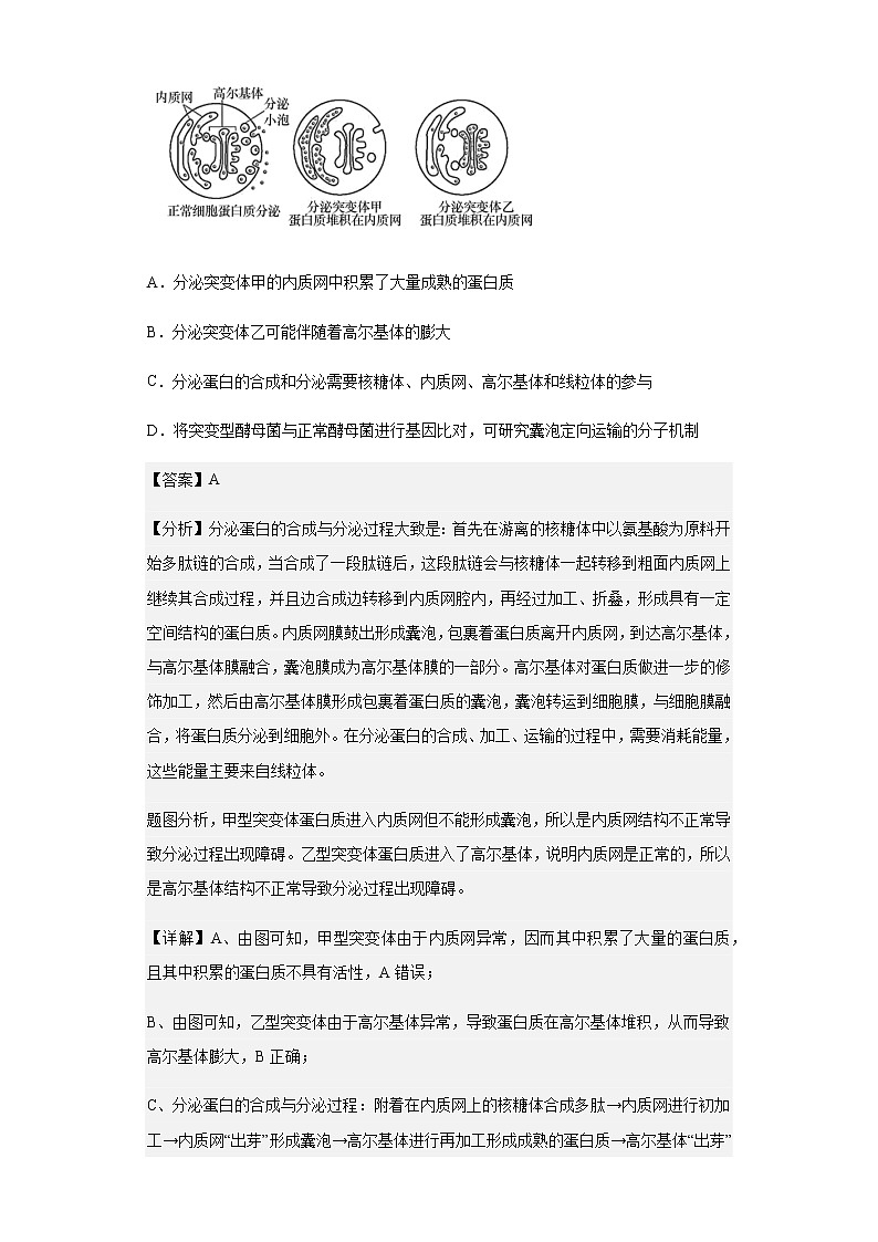 2023届广东省惠州市（惠阳中山中学、龙门中学、惠州仲恺中学）三校高三第一次质量检测生物试题含解析03