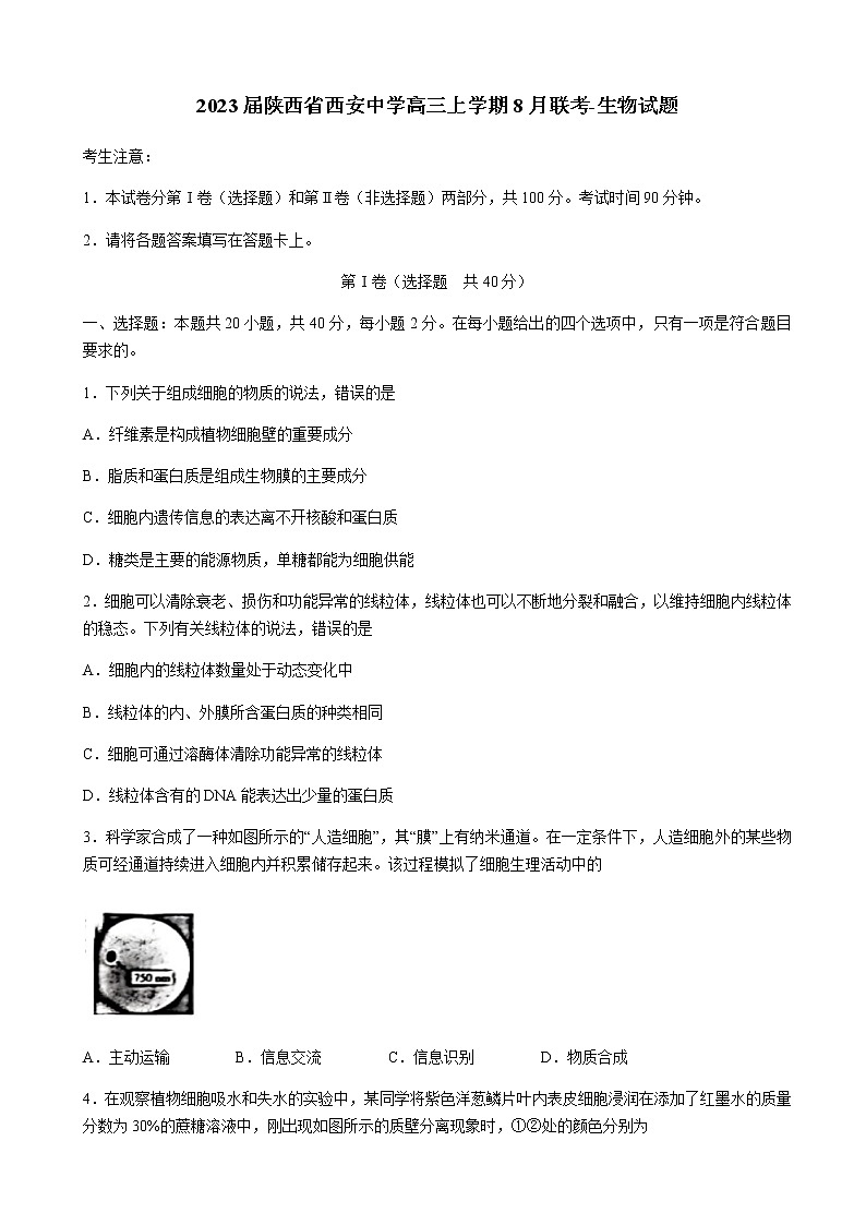 2023届陕西省西安中学高三上学期8月联考-生物试题含解析第1页