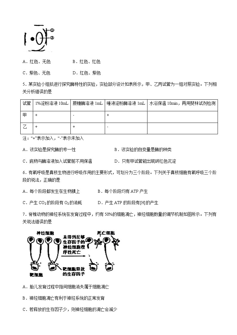 2023届陕西省西安中学高三上学期8月联考-生物试题含解析第2页