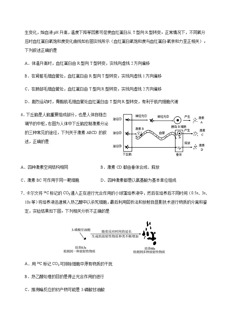 2023届重庆市缙云教育联盟高三8月质量检测生物试题含答案第3页