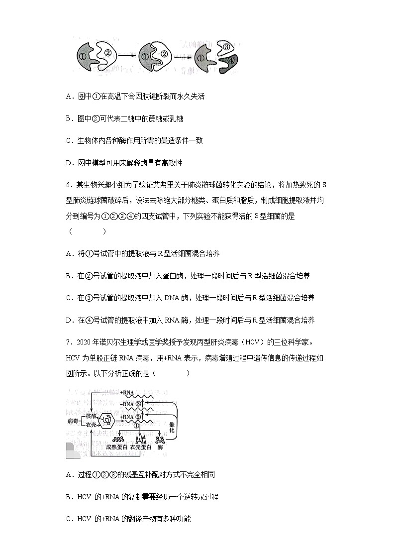 山西省2022-2023学年高三上学期第一次摸底考试生物试题含解析02
