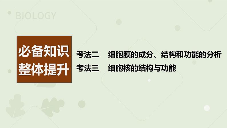 2023届高三生物一轮专题复习课件：细胞膜和细胞核第2页