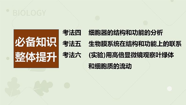 2023届高三生物一轮专题复习课件：细胞器和生物膜系统第2页