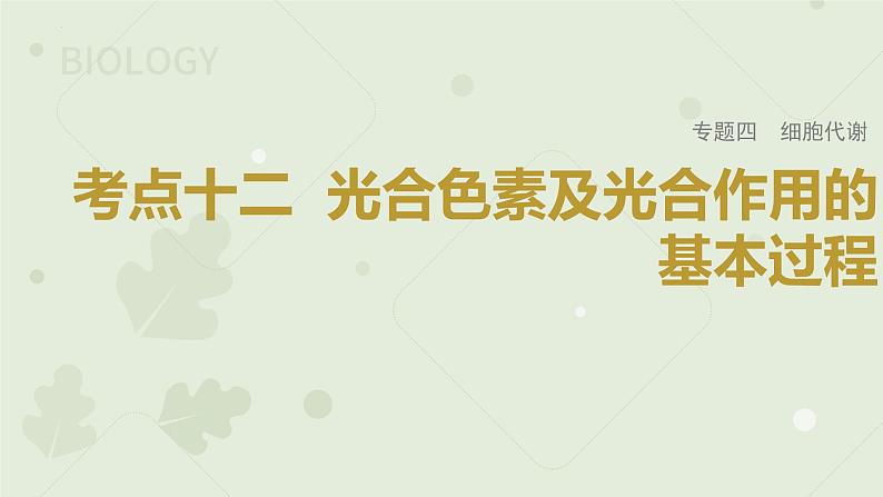 2023届高三生物一轮专题复习课件：光合色素及光合作用的基本作用第1页