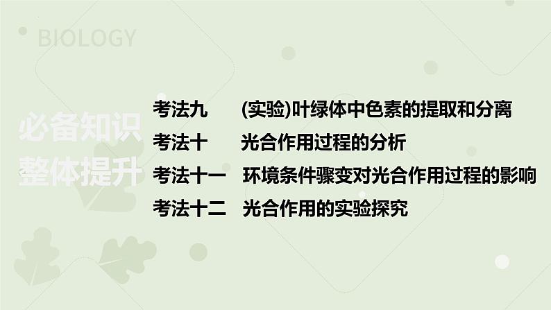 2023届高三生物一轮专题复习课件：光合色素及光合作用的基本作用第2页