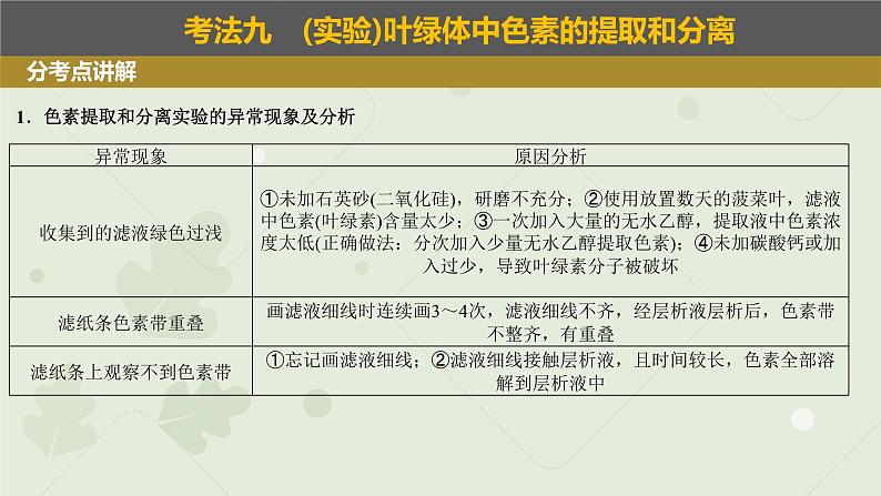 2023届高三生物一轮专题复习课件：光合色素及光合作用的基本作用第3页