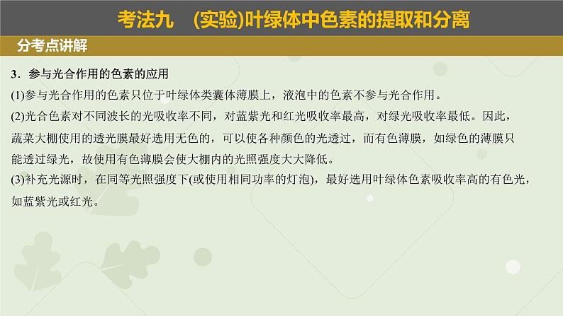 2023届高三生物一轮专题复习课件：光合色素及光合作用的基本作用第5页