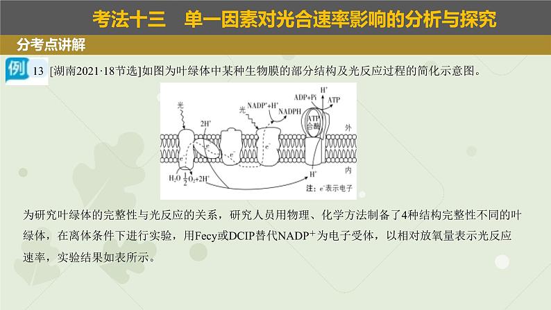 2023届高三生物一轮专题复习课件：光合作用的影响因素及应用03