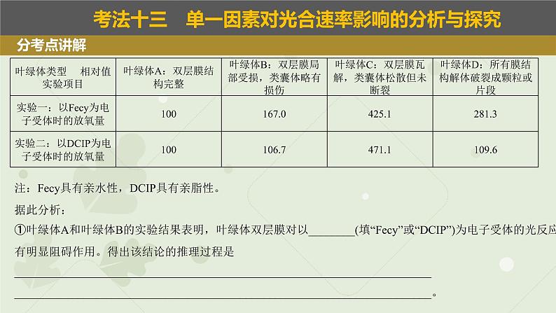 2023届高三生物一轮专题复习课件：光合作用的影响因素及应用04