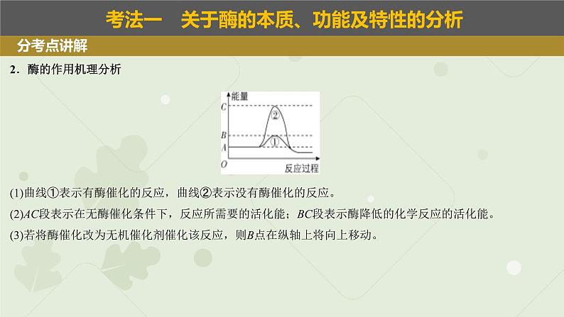 2023届高三生物一轮专题复习课件：酶和ATP第5页