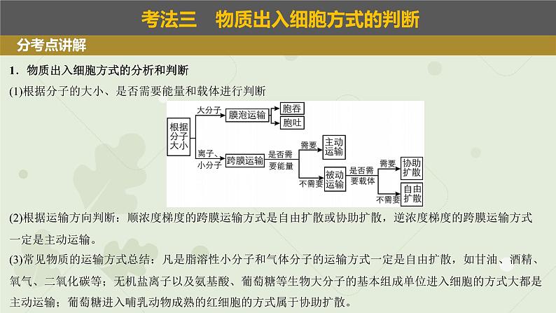 2023届高三生物一轮专题复习课件：物质出入细胞的方式第3页