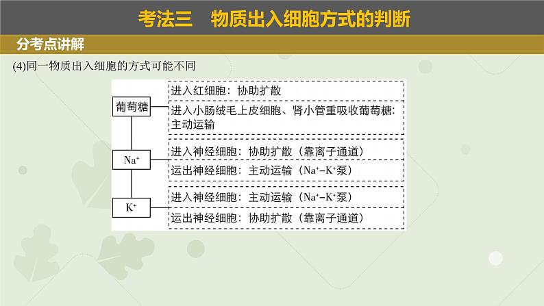 2023届高三生物一轮专题复习课件：物质出入细胞的方式第5页