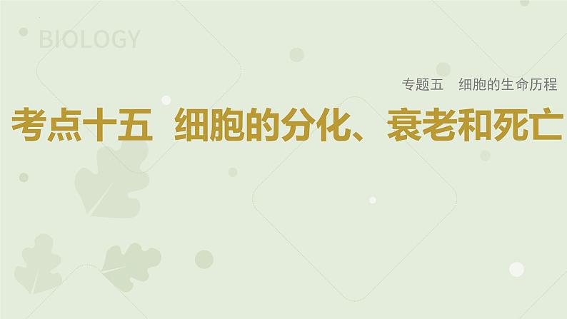 2023届高三生物一轮专题复习课件：细胞的分化、衰老和死亡第1页