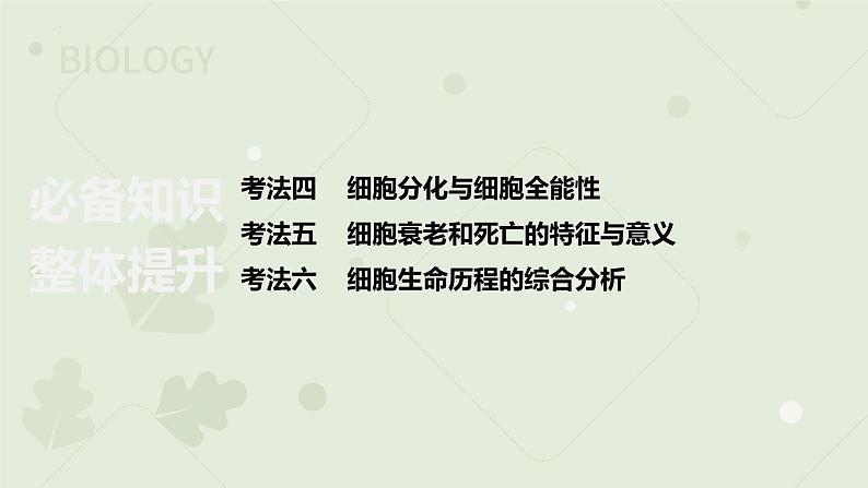 2023届高三生物一轮专题复习课件：细胞的分化、衰老和死亡第2页